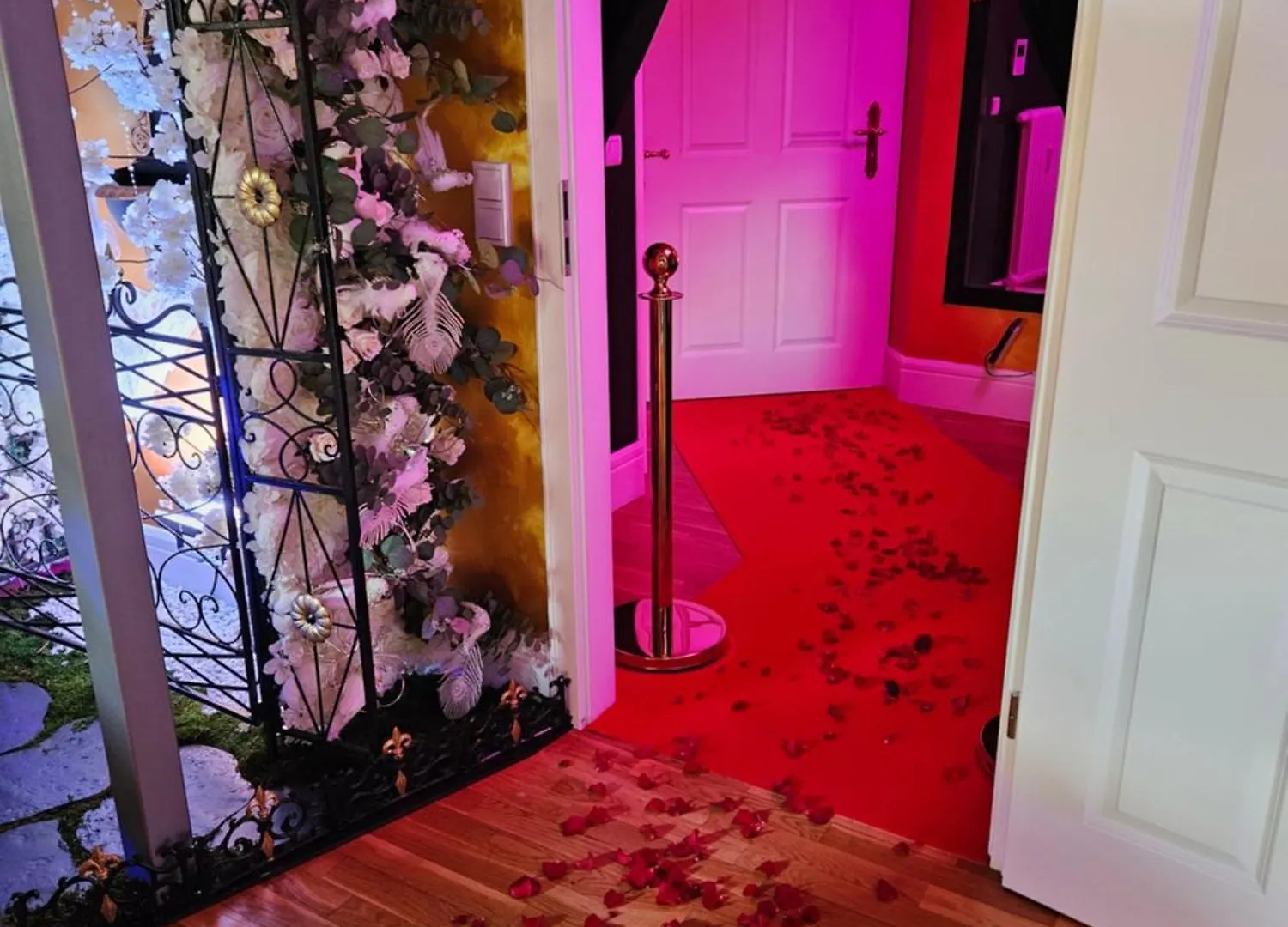 N Vogue Apartment - Aussergewoehnliche Unterkunft In Zentrumsnaehe Dresden